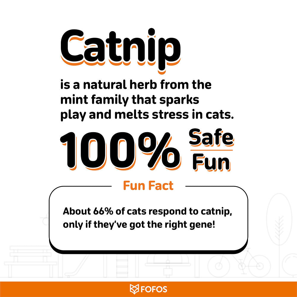 Fofos Wand Hungry Kittens Teaser Toy for Cats — back view