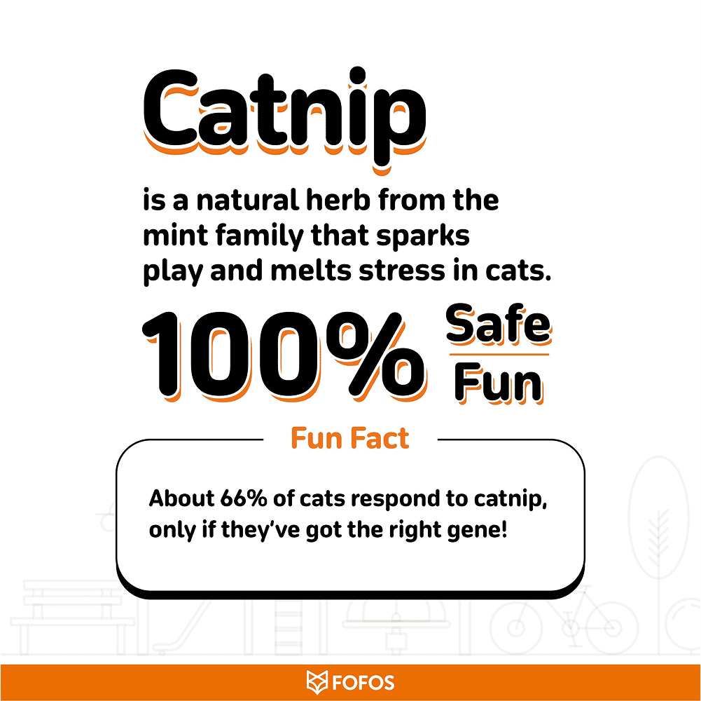 Fofos Wand Meow Fast Food Teaser Toy for Cats — back view