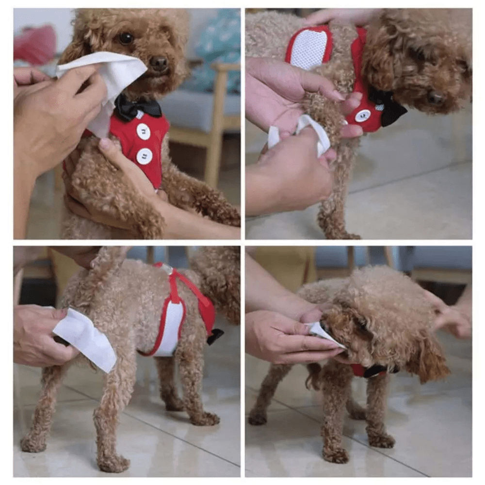 Basil All Purpose Wet Wipes for Dogs and Cats — detail shot