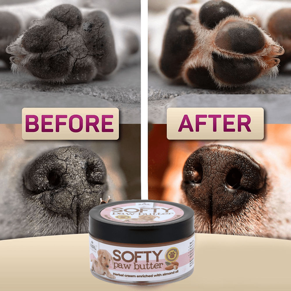 Basil Almond Softy Paw Butter for Dogs — in use