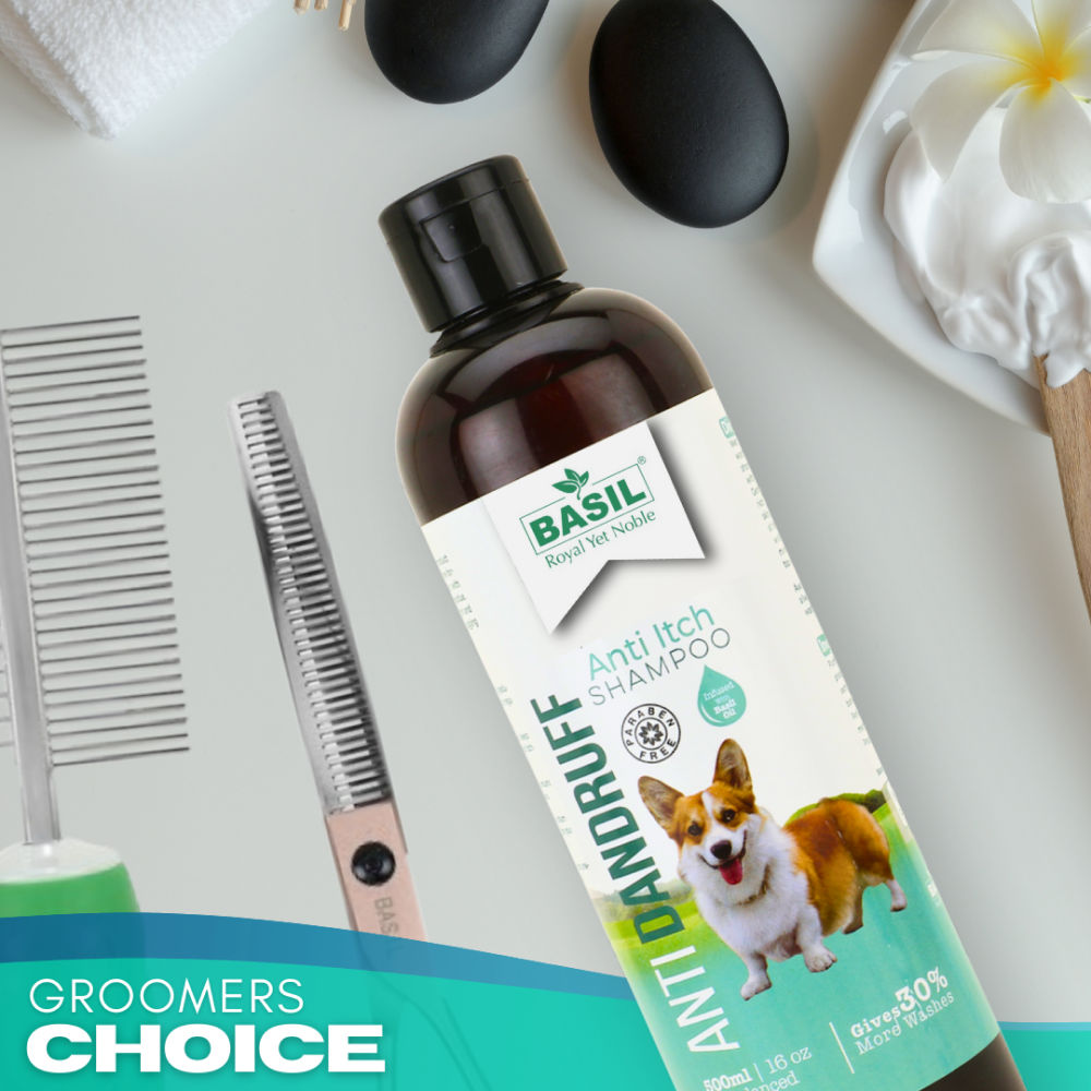 Basil Anti Dandruff & Anti Itch Shampoo for Dogs and Cats — back view