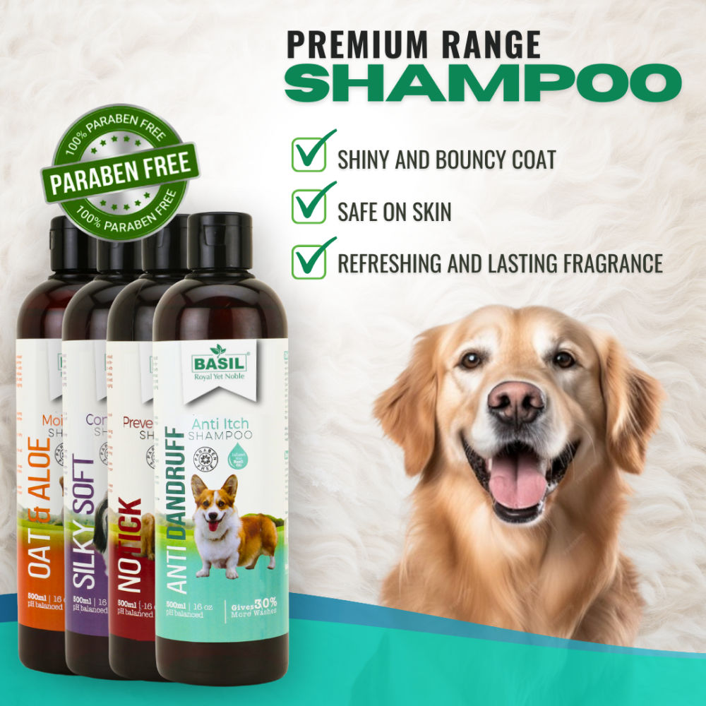 Basil Anti Dandruff & Anti Itch Shampoo for Dogs and Cats — detail shot