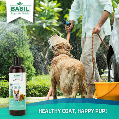 Basil Anti Dandruff & Anti Itch Shampoo for Dogs and Cats — in use