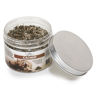 Basil Catnip In A Jar For Cats