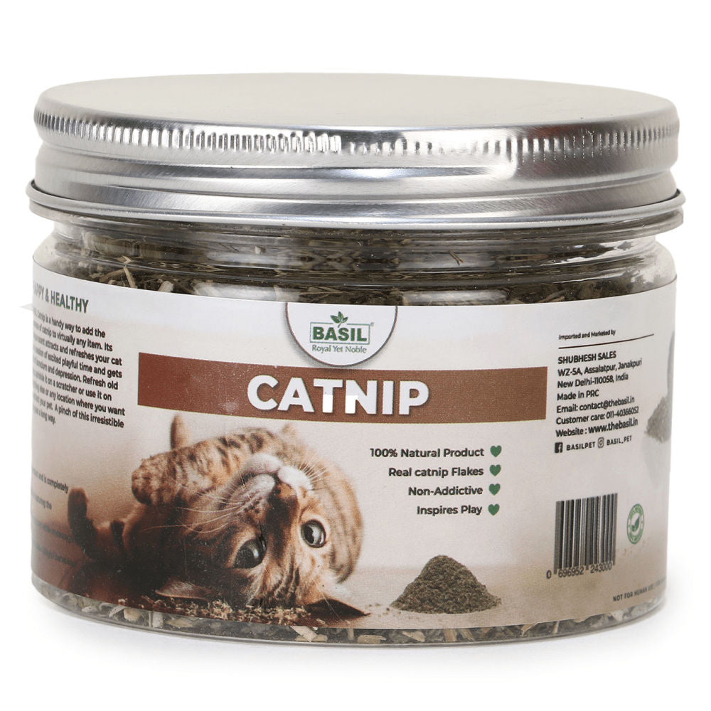 Basil Catnip In A Jar For Cats - Image 3