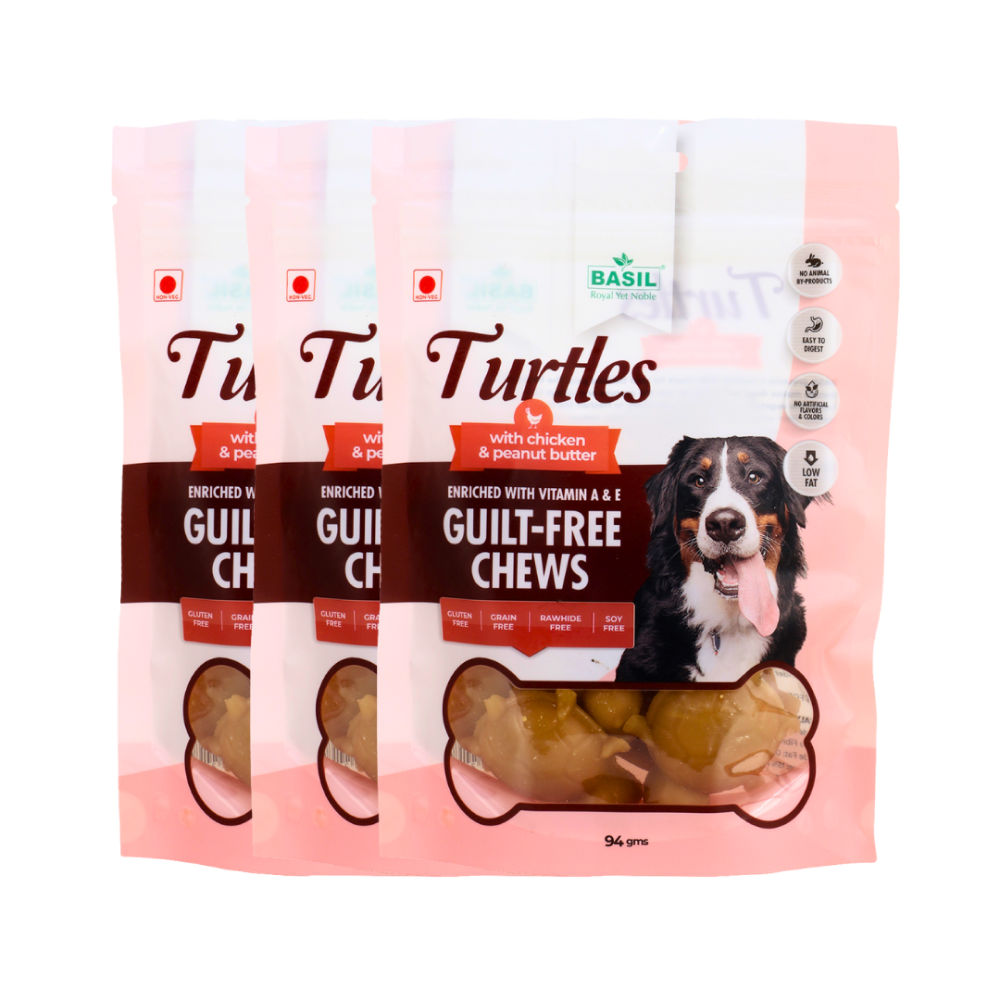 Basil Chicken & Peanut Butter Turtle Shaped Dog Chew Treats — back view