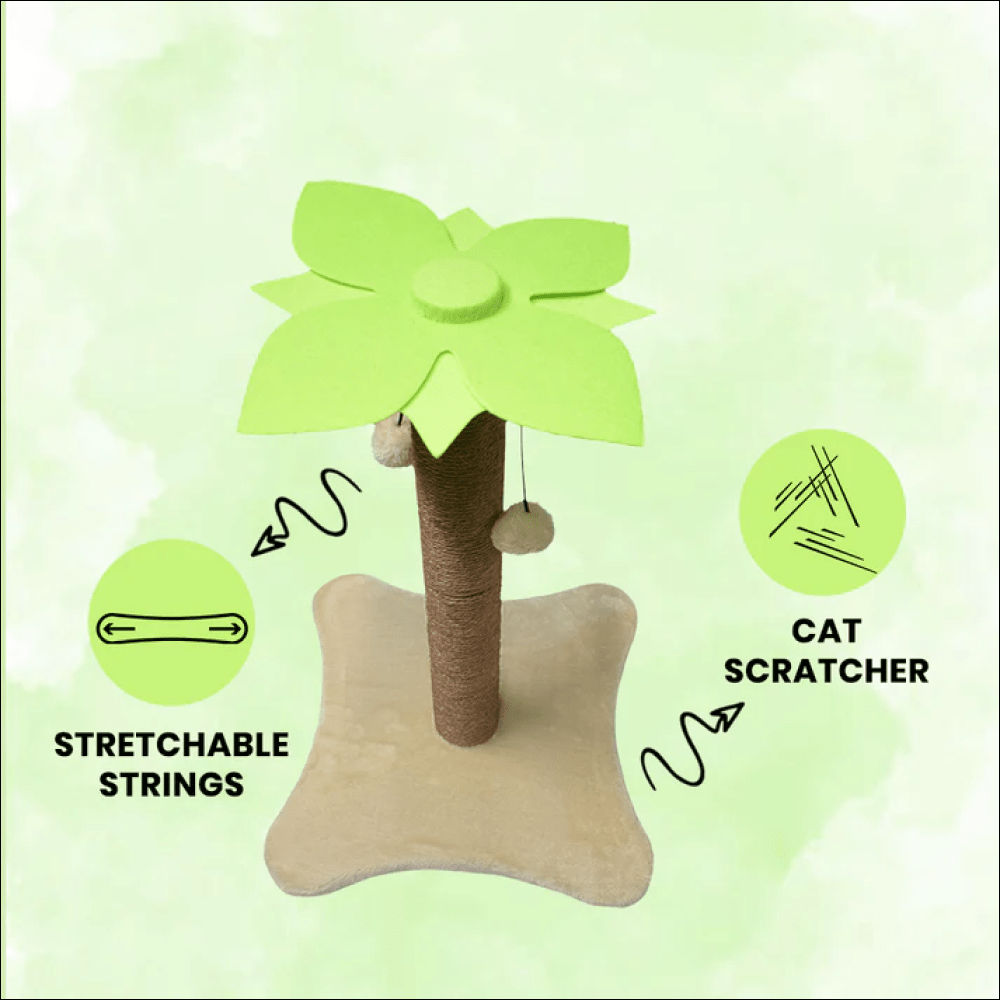 Basil Coconut Tree Toy For Kittens Cats - Image 2