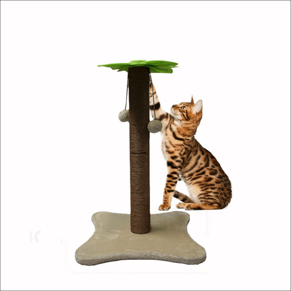 Basil Coconut Tree Toy For Kittens Cats - Image 3