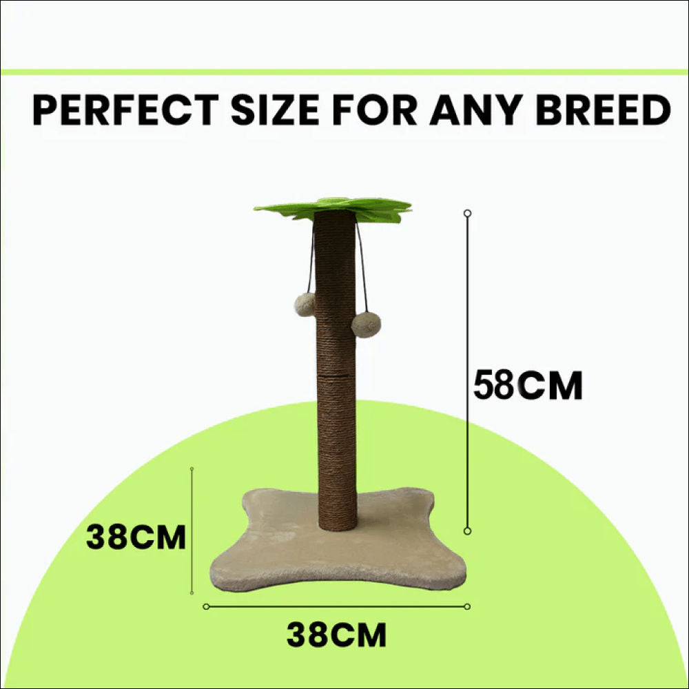 Basil Coconut Tree Toy For Kittens Cats - Image 4