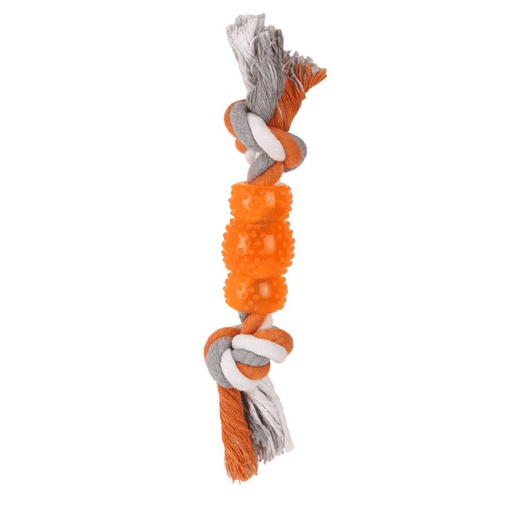 Basil Cotton Rope Rubber Chew Toy with Hard TPR Centre for Dogs — back view