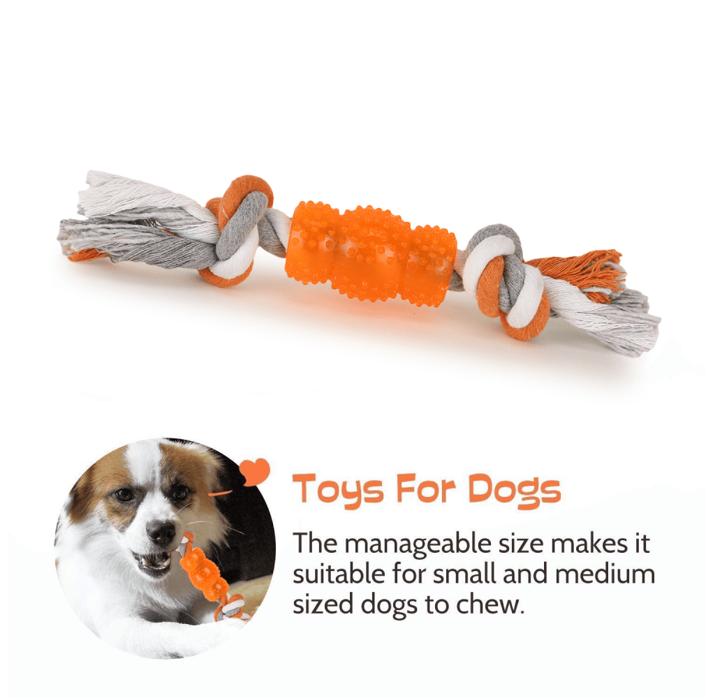 Basil Cotton Rope Rubber Chew Toy with Hard TPR Centre for Dogs — detail shot