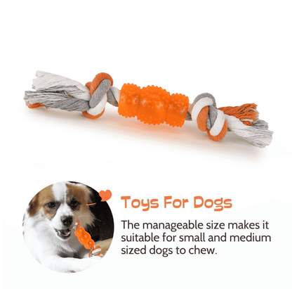 Basil Cotton Rope Rubber Chew Toy with Hard TPR Centre for Dogs — detail shot