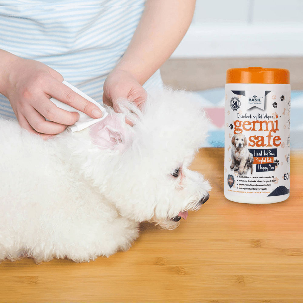 Basil Germi Safe Wet Wipes for Dogs and Cats — in use