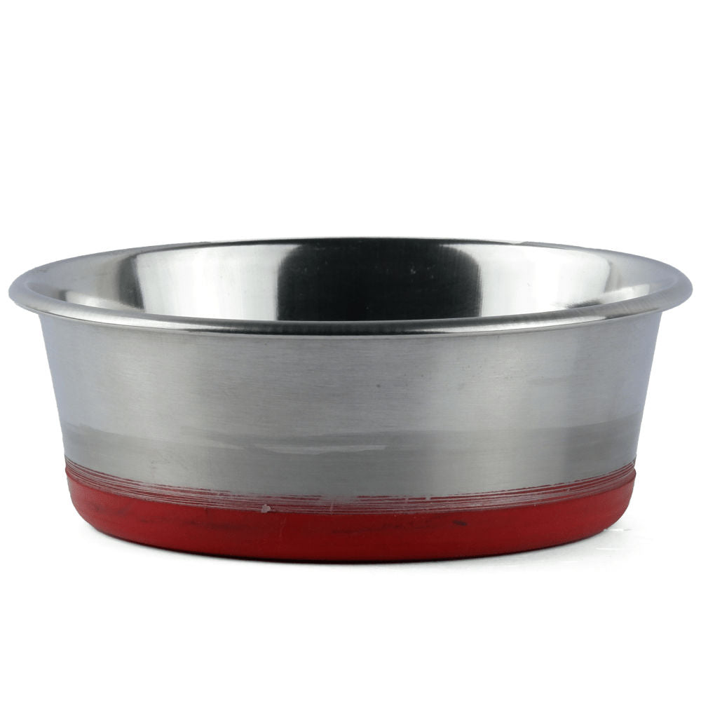 Basil Heavy Dish with Silicon Bowl for Dogs — side view