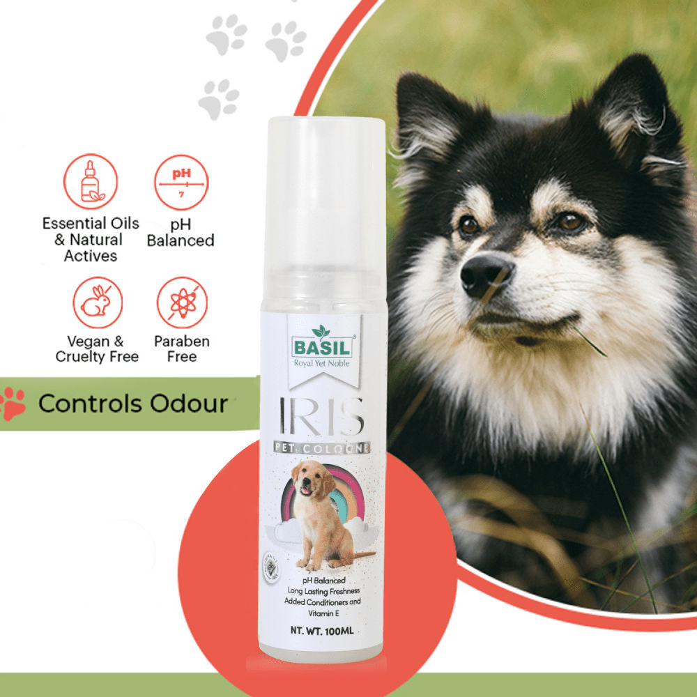 Basil Iris Cologne Spray for Dogs and Cats — detail shot
