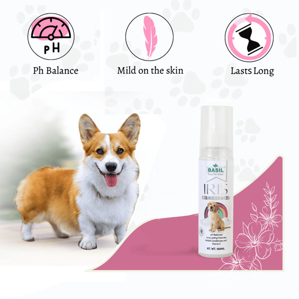 Basil Iris Cologne Spray for Dogs and Cats — in use