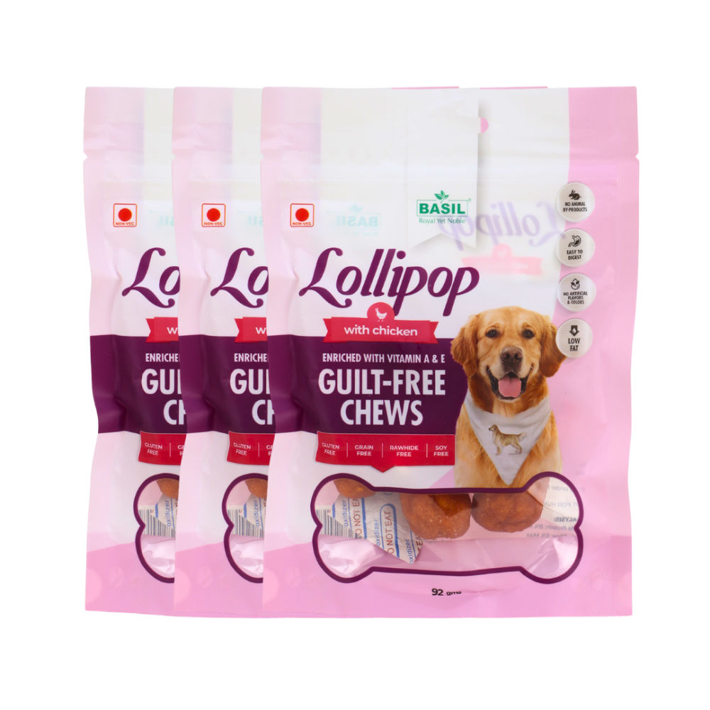 Basil Lollipop with Chicken Dog Chew Treat — in use
