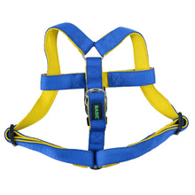 Basil Nylon Padded Adjustable Harness For Dogs Blue - Image 3