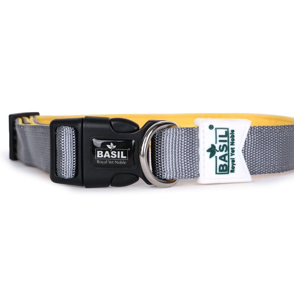 Basil Nylon Padded Collar for Dogs — detail shot
