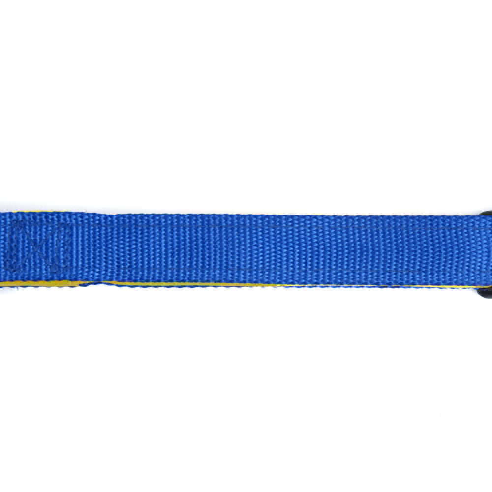 Basil Nylon Padded Collar for Dogs — back view