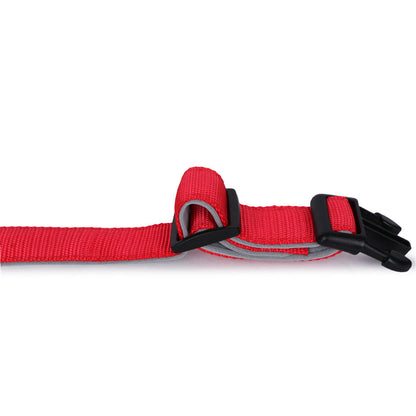 Basil Nylon Padded Collar for Dogs — back view