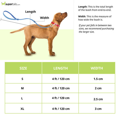 Basil Padded Leash for Dogs — side view