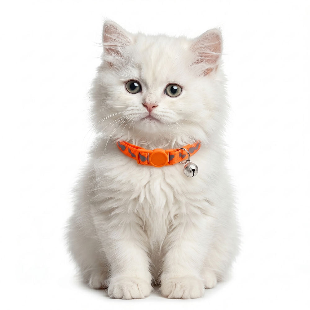 Basil Printed Collar for Cats & Puppies — back view