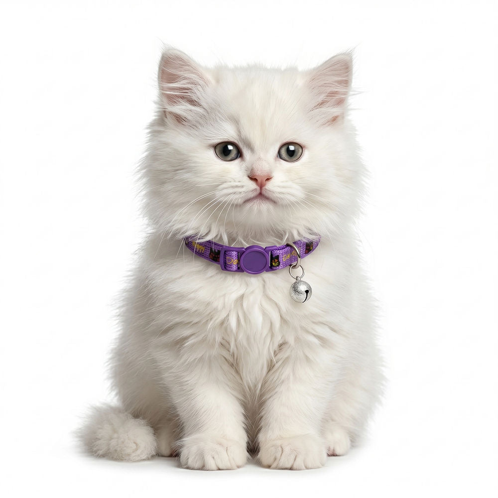 Basil Printed Collar for Cats & Puppies — back view