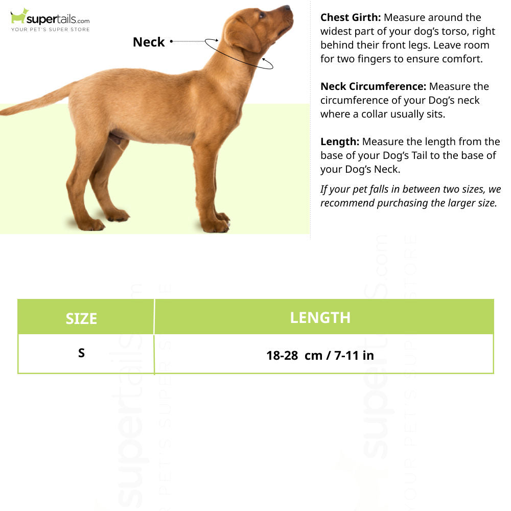 Basil Printed Collar for Cats & Puppies — in use