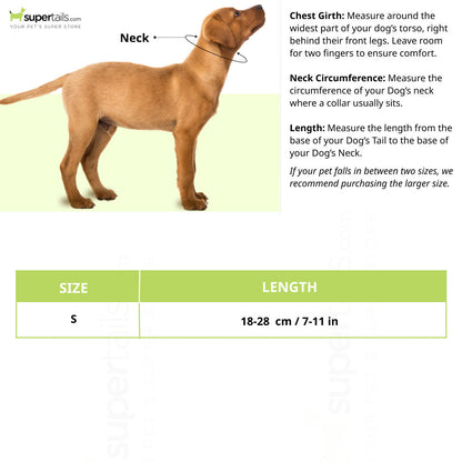 Basil Printed Collar for Cats & Puppies — in use