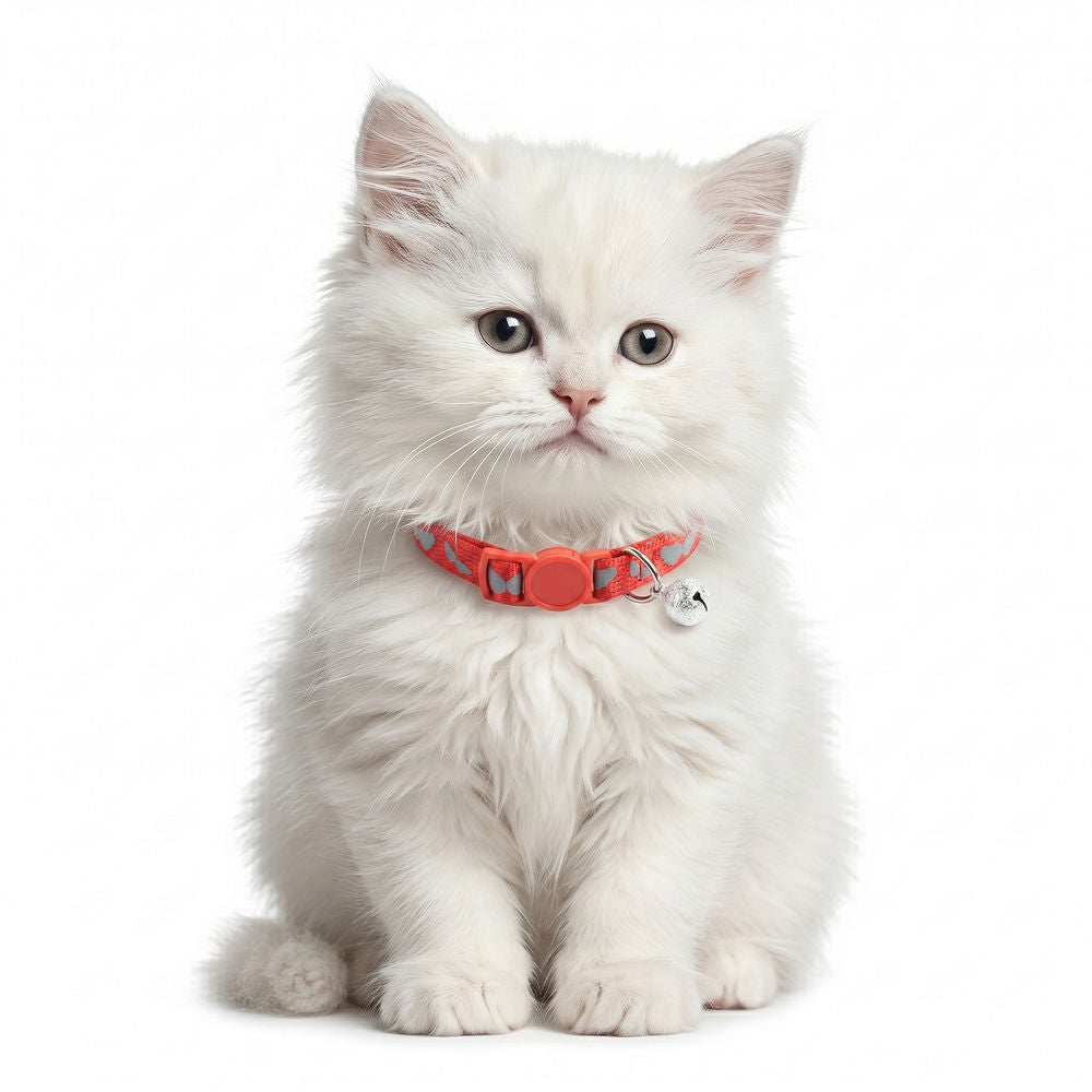 Basil Printed Collar for Cats & Puppies — side view