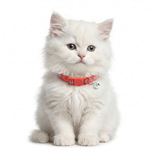 Basil Printed Collar For Cats Puppies Red - Image 2