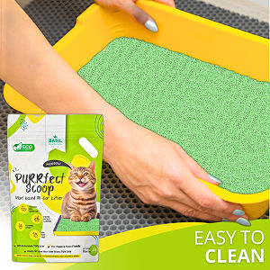 Basil Purrfect Green Tea Scented Clumping Cat Litter — in use
