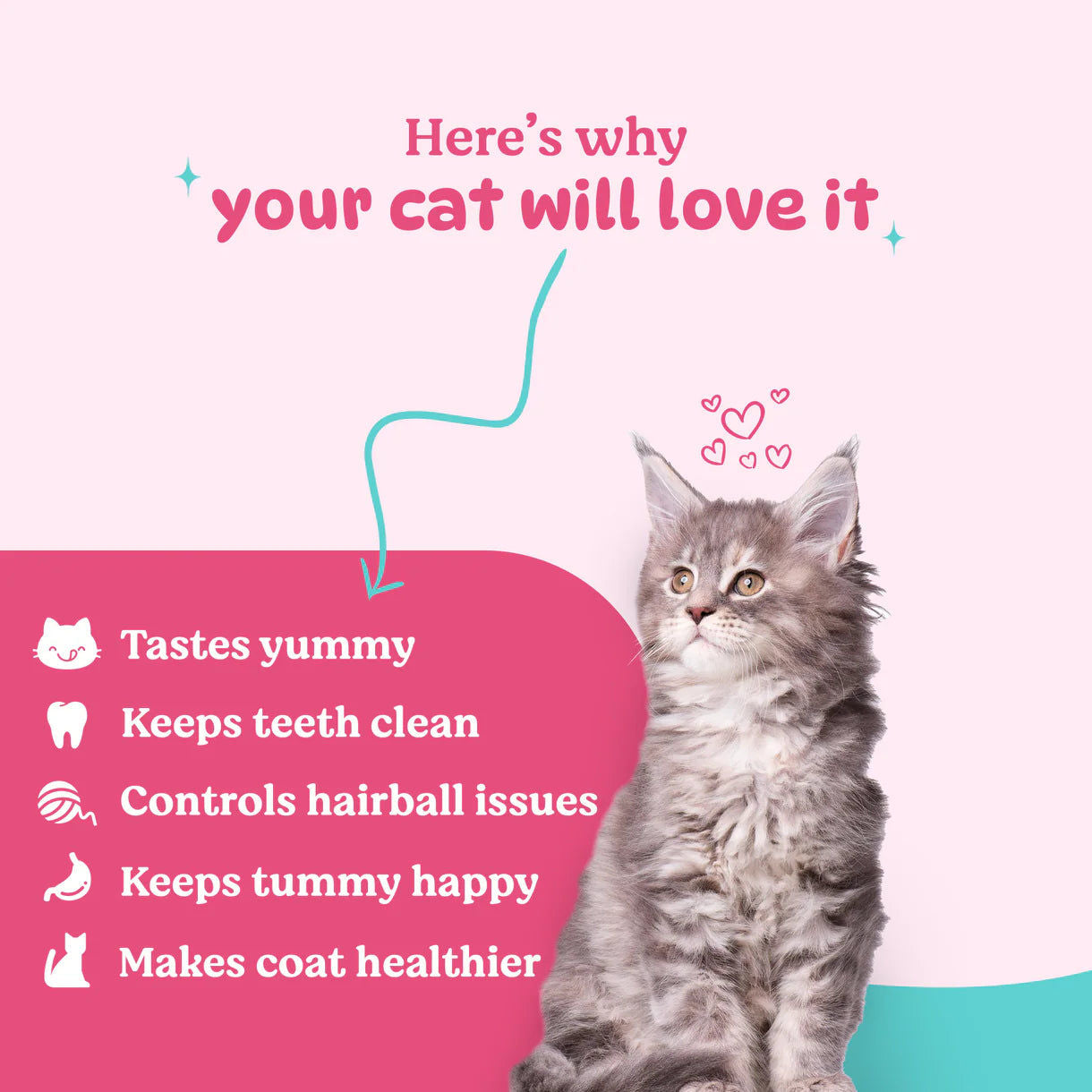 Basil Purrfect Tuna and Chicken Dental Stick Cat Treat — detail shot