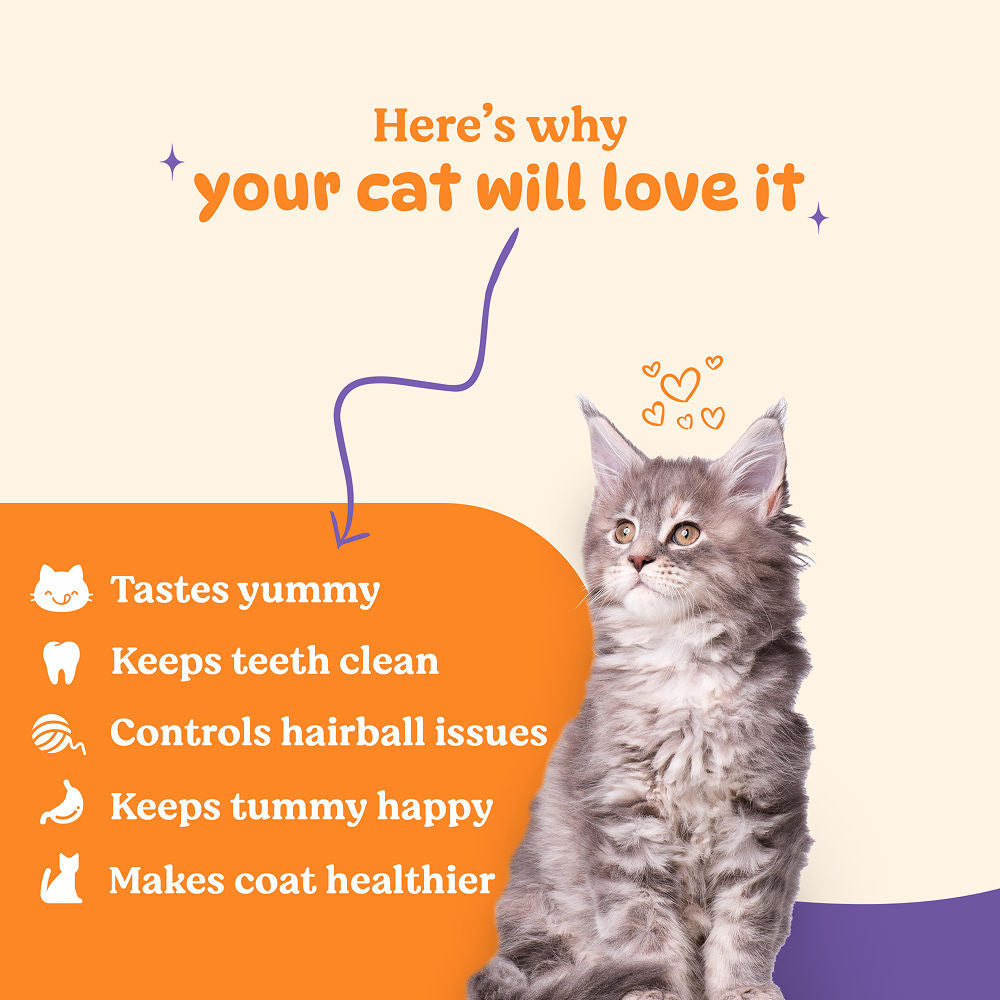 Basil Purrfect Tuna and Cranberry Dental Stick Cat Treat — back view