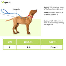Basil Rope Leash For Dogs Black Gray - Image 2