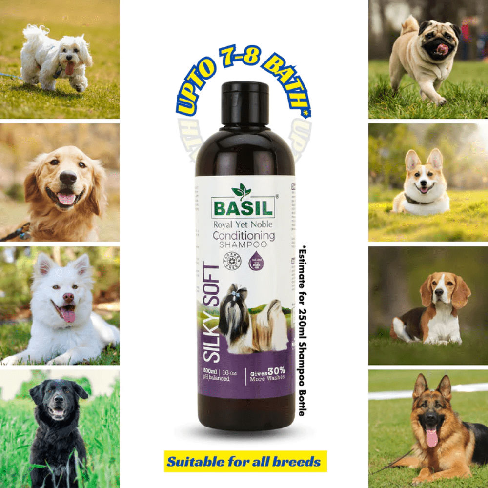 Basil Silky Soft Conditioning Dog Shampoo — in use