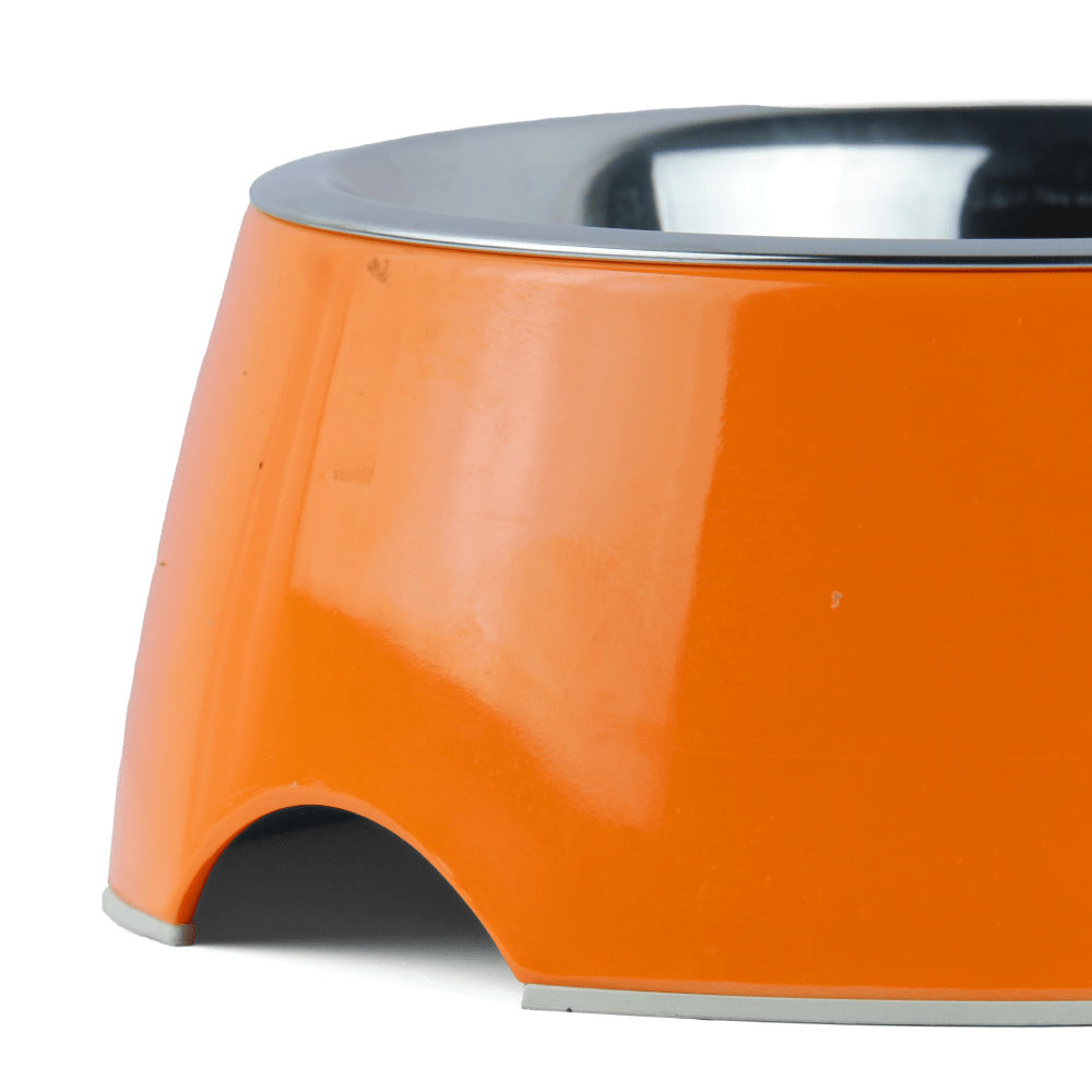 Basil Solid Color Melamine Bowl for Dogs and Cats — in use