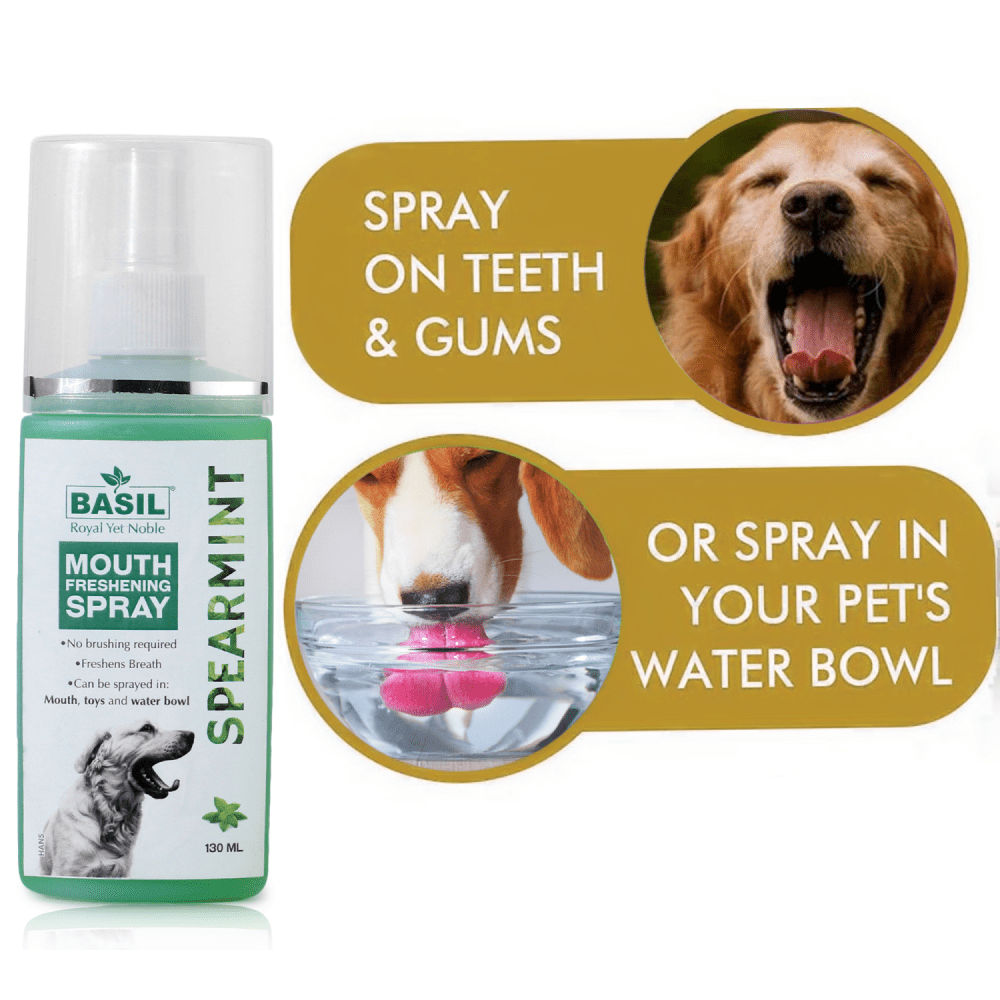 Basil Spearmint Mouth Spray for Dogs — detail shot