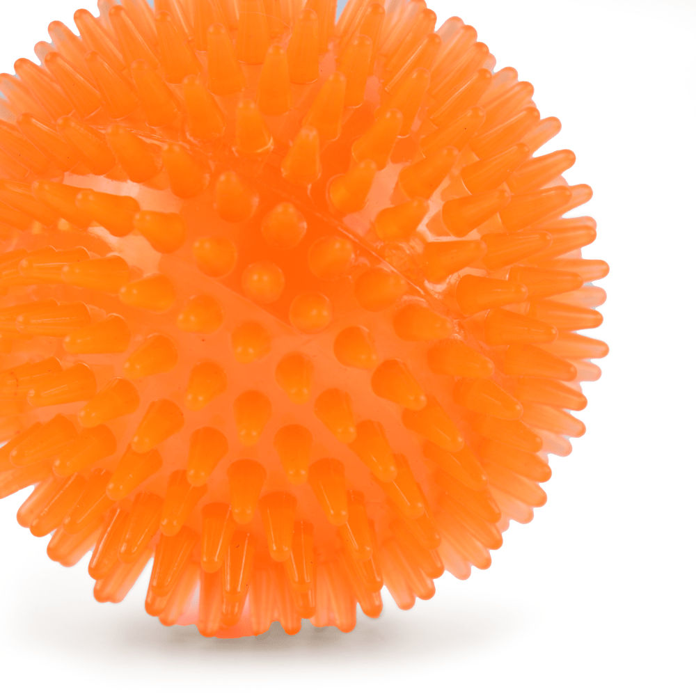 Basil Squeaky Rubber Ball Toy for Dogs (Orange) | For Medium Chewers — back view