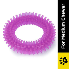 Basil Teething Ring Chew Toy For Dogs Purple - Image 2