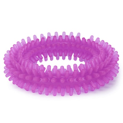 Basil Teething Ring Chew Toy for Dogs | For Medium Chewers — back view