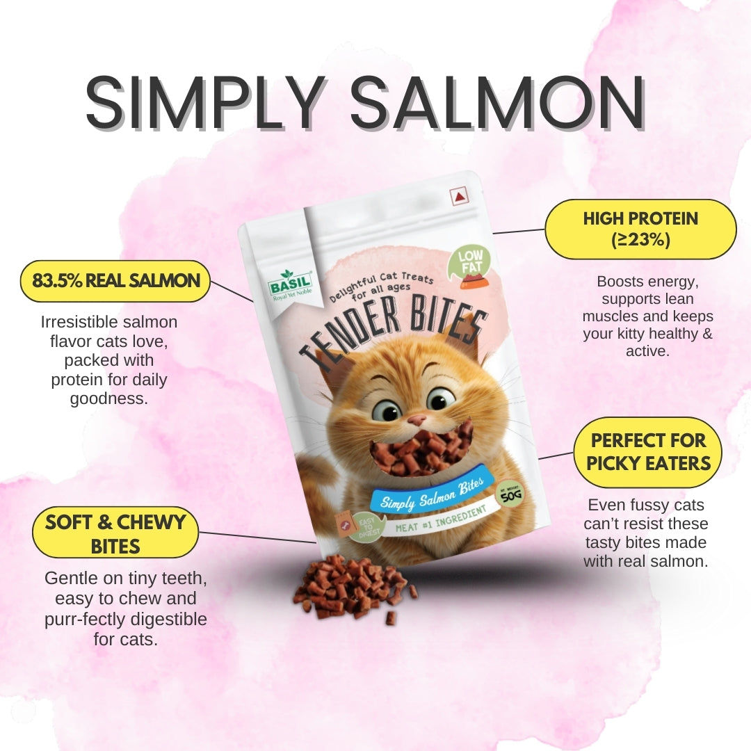 Basil Tender Bites Simply Salmon Cat Treats — detail shot