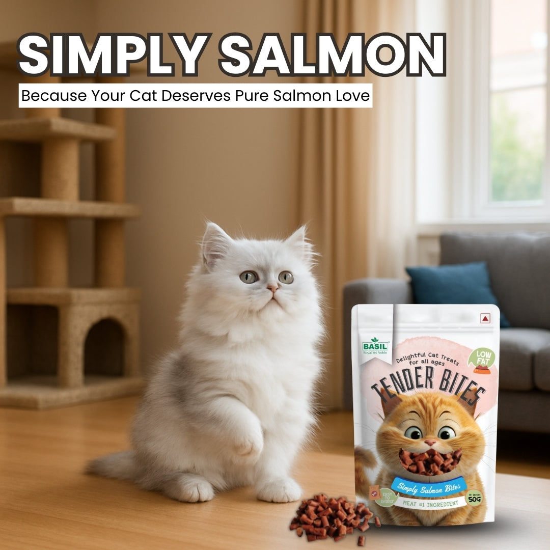 Basil Tender Bites Simply Salmon Cat Treats — in use