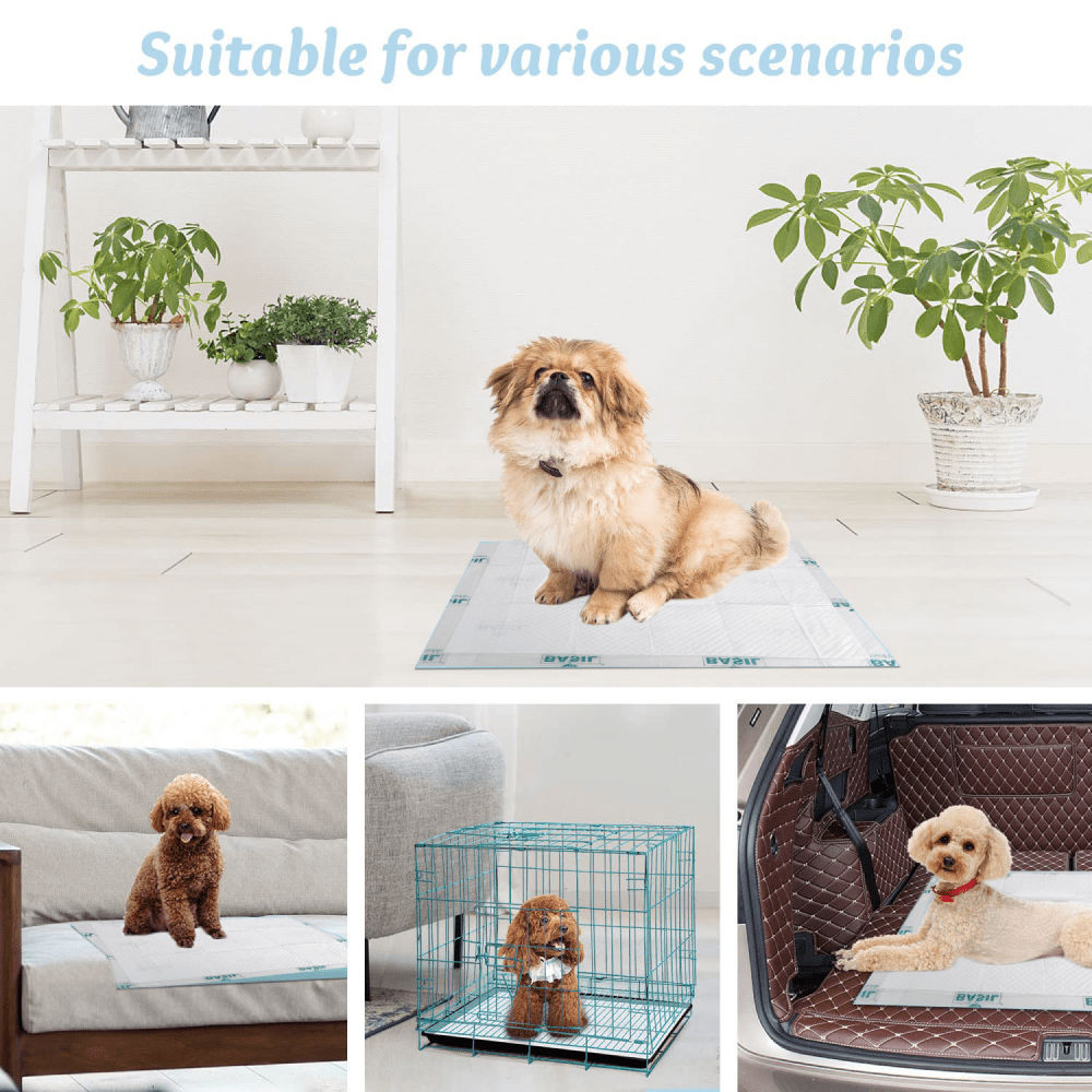 Basil Training Pads for Puppies — detail shot
