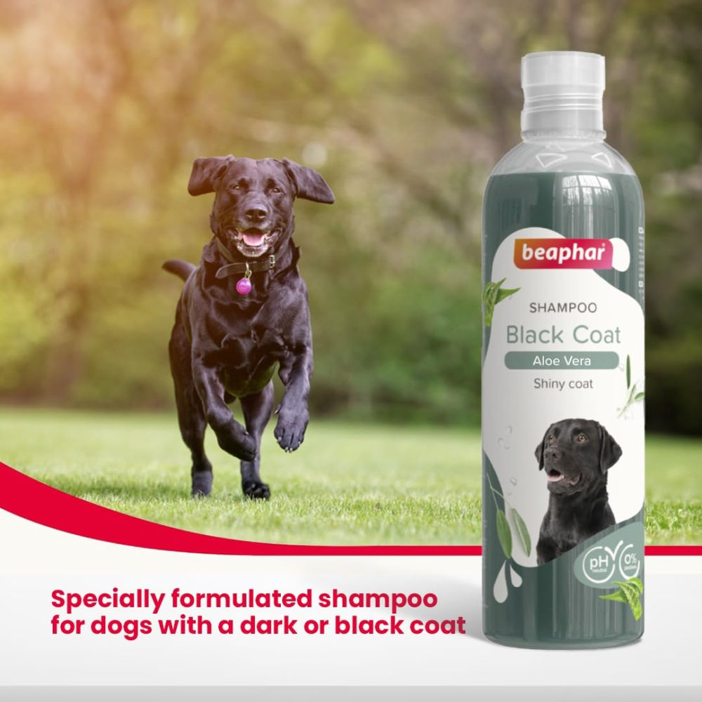 Beaphar Aleo Vera & Herbal Black Coat Shampoo for Dogs — back view