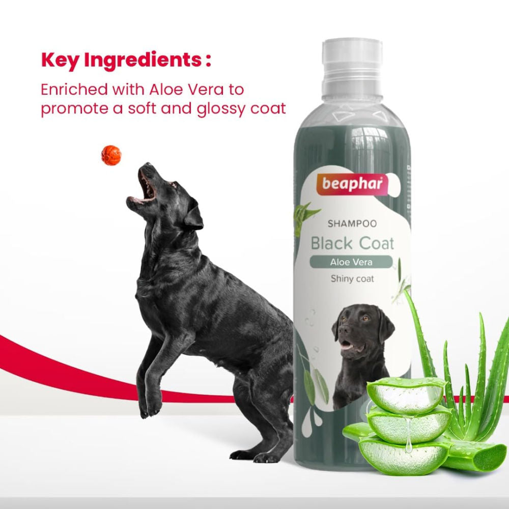 Beaphar Aleo Vera & Herbal Black Coat Shampoo for Dogs — detail shot