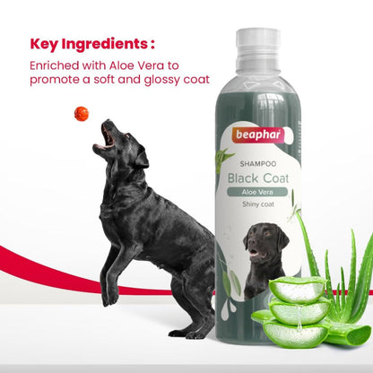 Beaphar Aleo Vera & Herbal Black Coat Shampoo for Dogs — detail shot
