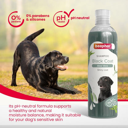 Beaphar Aleo Vera & Herbal Black Coat Shampoo for Dogs — in use