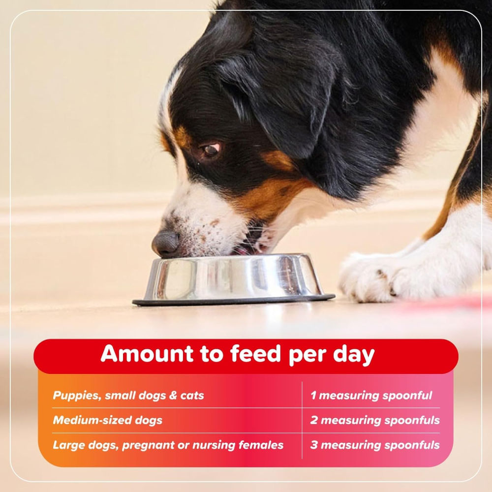 Beaphar Bone Builder Calcium Supplement for Dogs and Cats — detail shot